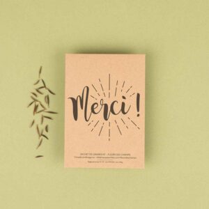 carte merci graines de fleurs des champs à semer