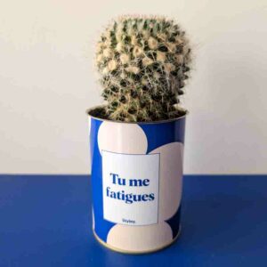Styley - Plante - Tu me fatigues