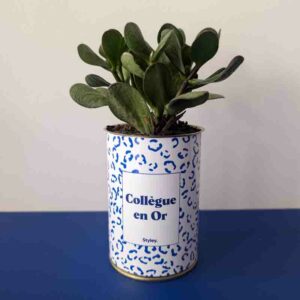 Styley - Plante - Collègue en or